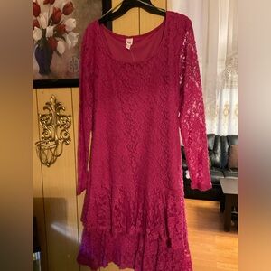 Bundle Dressy Lace dresses